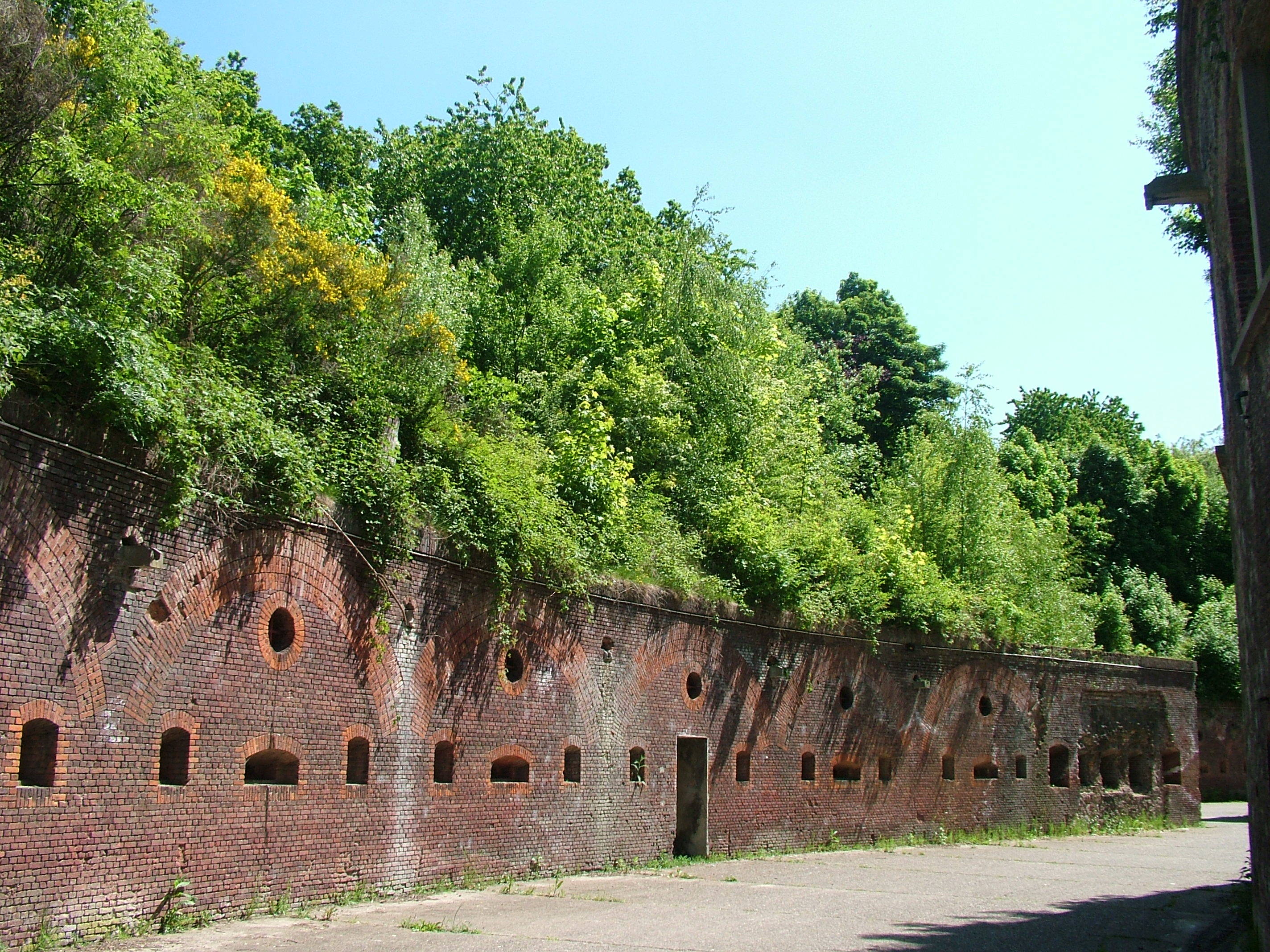 Fort 8